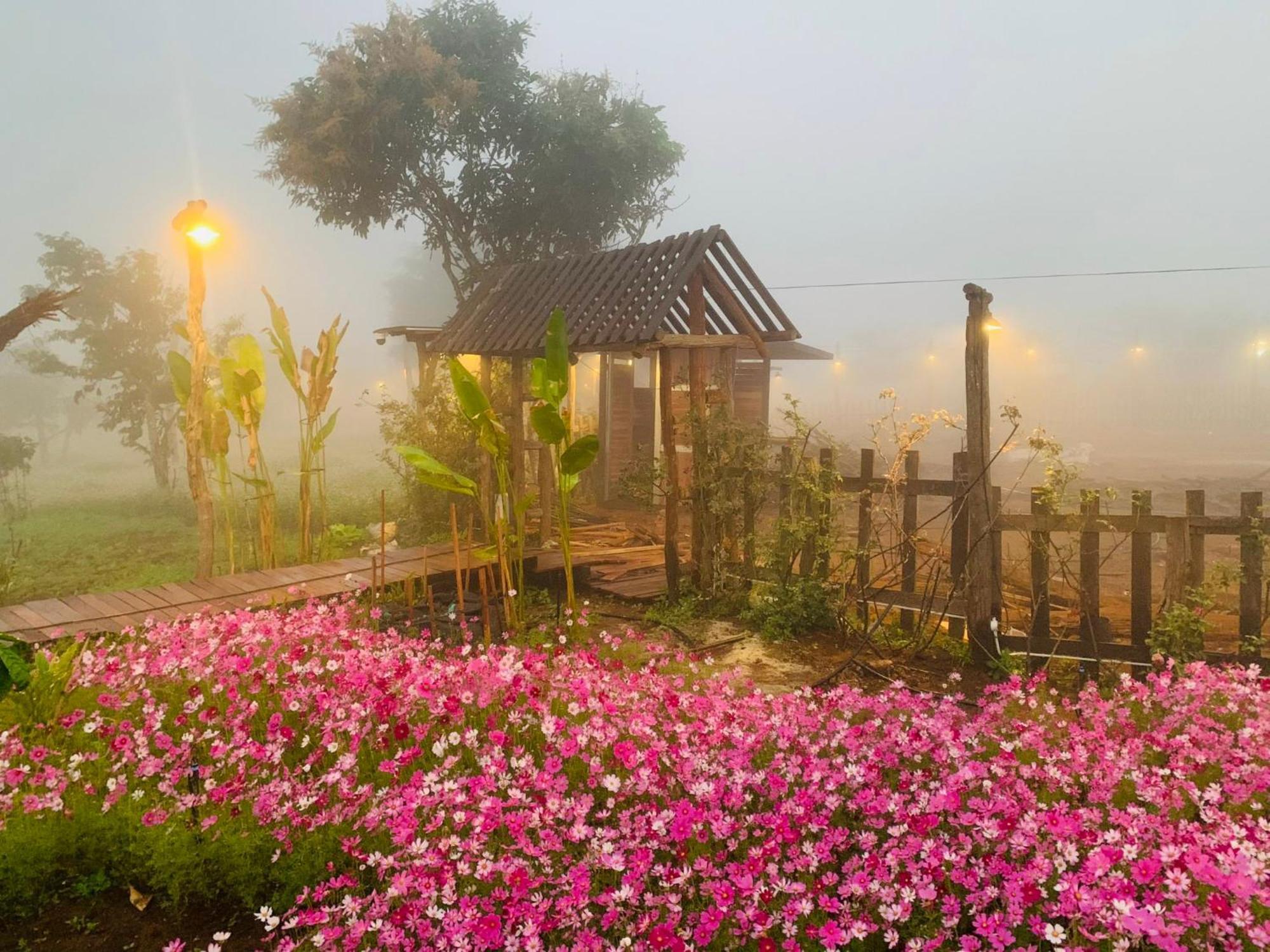 Cai Gui Ta Dung Hotel Bidong Kültér fotó